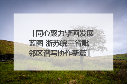 同心聚力擘画发展蓝图 浙苏皖三省毗邻区谱写协作新篇