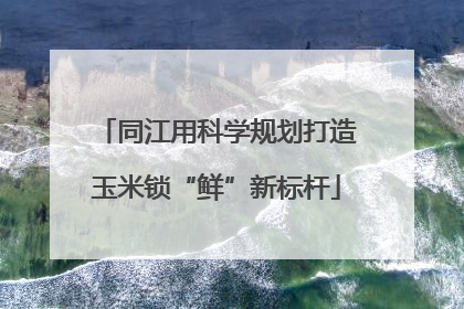 同江用科学规划打造玉米锁“鲜”新标杆