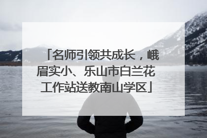 名师引领共成长，峨眉实小、乐山市白兰花工作站送教南山学区