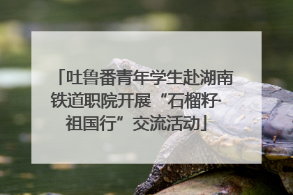 吐鲁番青年学生赴湖南铁道职院开展“石榴籽·祖国行”交流活动