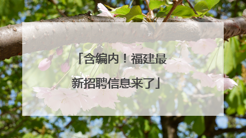 含编内！福建最新招聘信息来了