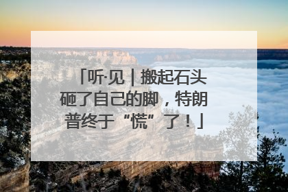 听·见｜搬起石头砸了自己的脚，特朗普终于“慌”了！