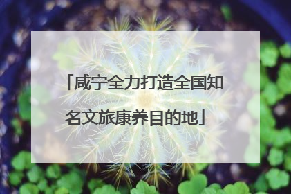 咸宁全力打造全国知名文旅康养目的地