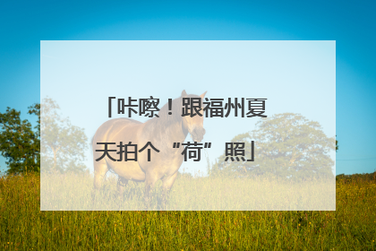 咔嚓！跟福州夏天拍个“荷”照