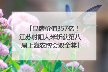 品牌价值357亿！江苏射阳大米斩获第八届上海农博会双金奖
