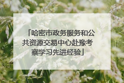 哈密市政务服务和公共资源交易中心赴豫考察学习先进经验