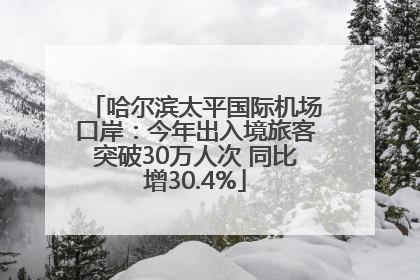 哈尔滨太平国际机场口岸：今年出入境旅客突破30万人次 同比增30.4%