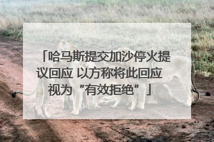哈马斯提交加沙停火提议回应 以方称将此回应视为“有效拒绝”