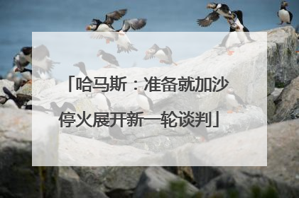 哈马斯：准备就加沙停火展开新一轮谈判