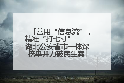 善用“信息流”，精准“打七寸”——湖北公安省市一体深挖串并力破民生案