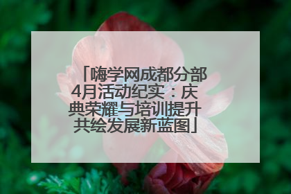 嗨学网成都分部4月活动纪实：庆典荣耀与培训提升共绘发展新蓝图