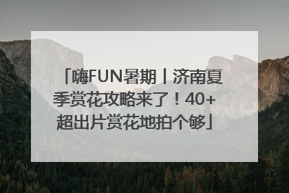 嗨FUN暑期丨济南夏季赏花攻略来了！40+超出片赏花地拍个够