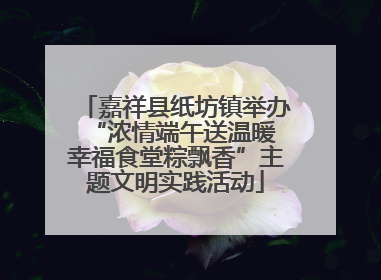 嘉祥县纸坊镇举办“浓情端午送温暖 幸福食堂粽飘香”主题文明实践活动