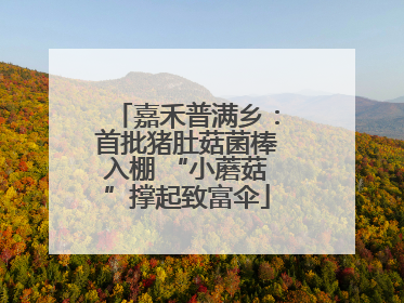 嘉禾普满乡：首批猪肚菇菌棒入棚 “小蘑菇”撑起致富伞