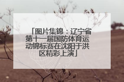 图片集锦：辽宁省第十一届国防体育运动锦标赛在沈阳于洪区精彩上演