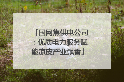 国网焦供电公司：优质电力服务赋能凉皮产业飘香