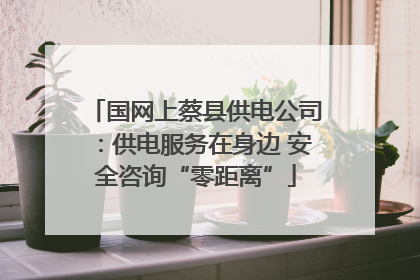国网上蔡县供电公司：供电服务在身边 安全咨询“零距离”