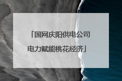 国网庆阳供电公司电力赋能桃花经济