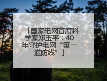 国家电网首席科学家郑玉平：40年守护电网“第一道防线”