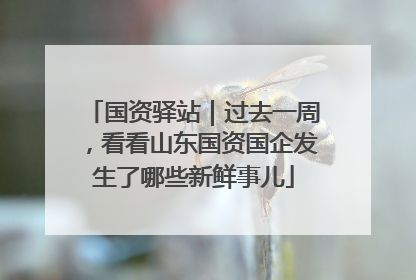 国资驿站｜过去一周，看看山东国资国企发生了哪些新鲜事儿