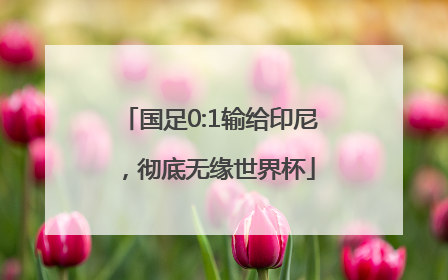 国足0:1输给印尼，彻底无缘世界杯