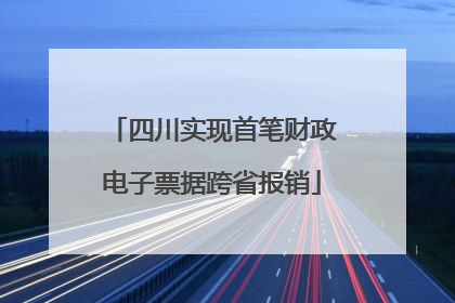 四川实现首笔财政电子票据跨省报销