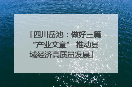 四川岳池：做好三篇“产业文章” 推动县域经济高质量发展