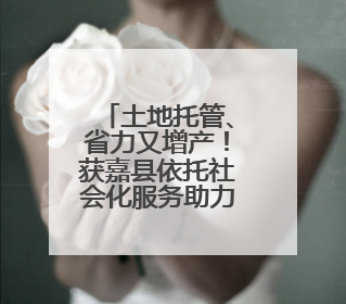 土地托管、省力又增产！获嘉县依托社会化服务助力粮食增产增收