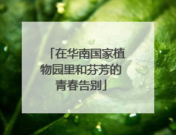 在华南国家植物园里和芬芳的青春告别
