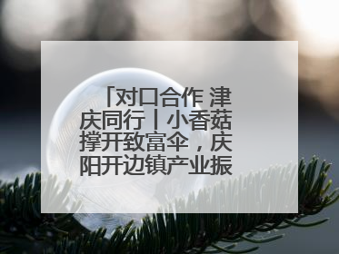 对口合作 津庆同行丨小香菇撑开致富伞，庆阳开边镇产业振兴有“蘑”力