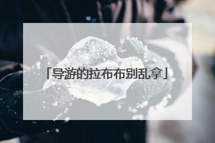 导游的拉布布别乱拿