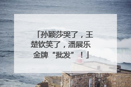 孙颖莎哭了，王楚钦笑了，潘展乐金牌“批发”！