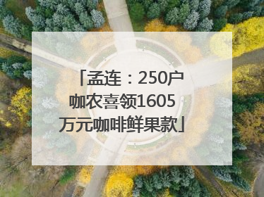 孟连：250户咖农喜领1605万元咖啡鲜果款
