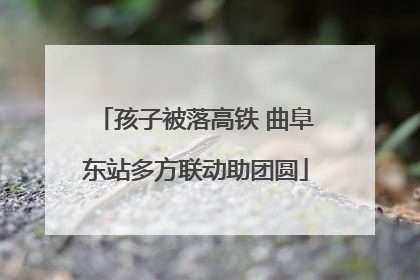 孩子被落高铁 曲阜东站多方联动助团圆