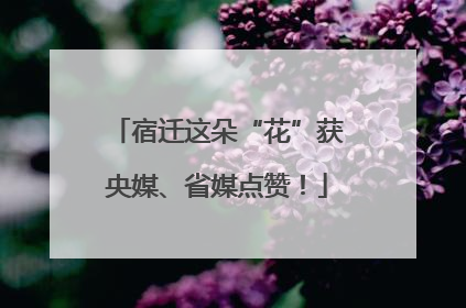 宿迁这朵“花”获央媒、省媒点赞！
