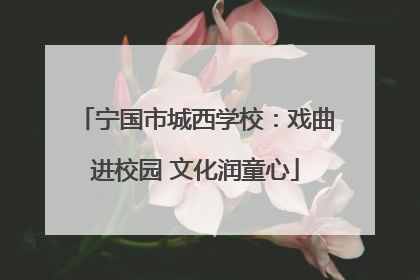 宁国市城西学校：戏曲进校园 文化润童心