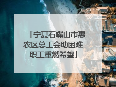 宁夏石嘴山市惠农区总工会助困难职工重燃希望