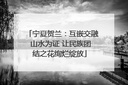 宁夏贺兰：互嵌交融 山水为证 让民族团结之花绚烂绽放