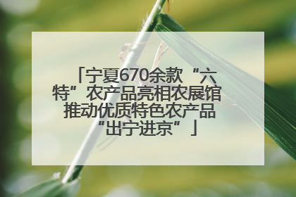 宁夏670余款“六特”农产品亮相农展馆 推动优质特色农产品“出宁进京”