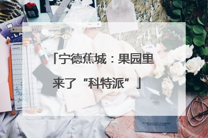 宁德蕉城：果园里来了“科特派”