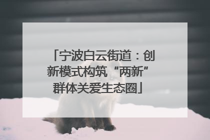 宁波白云街道：创新模式构筑“两新”群体关爱生态圈