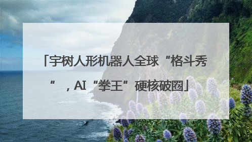 宇树人形机器人全球“格斗秀”，AI“拳王”硬核破圈