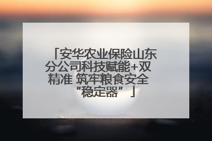 安华农业保险山东分公司科技赋能+双精准 筑牢粮食安全“稳定器”
