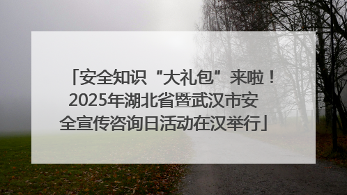 安全知识“大礼包”来啦！2025年湖北省暨武汉市安全宣传咨询日活动在汉举行