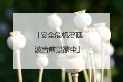 安全危机蔓延 波音前景蒙尘