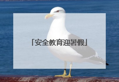 安全教育迎暑假