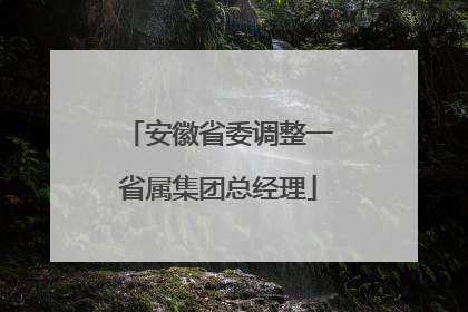 安徽省委调整一省属集团总经理