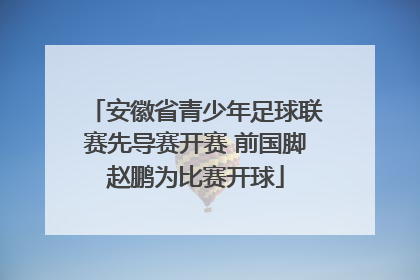 安徽省青少年足球联赛先导赛开赛 前国脚赵鹏为比赛开球