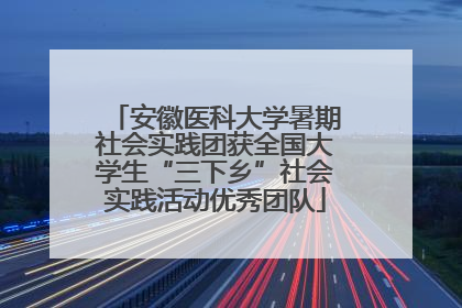 安徽医科大学暑期社会实践团获全国大学生“三下乡”社会实践活动优秀团队
