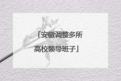 安徽调整多所高校领导班子